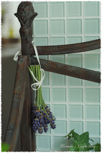 lavender-L.jpg