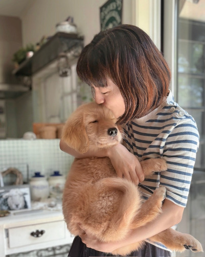 ごあいさつ・新しい家族